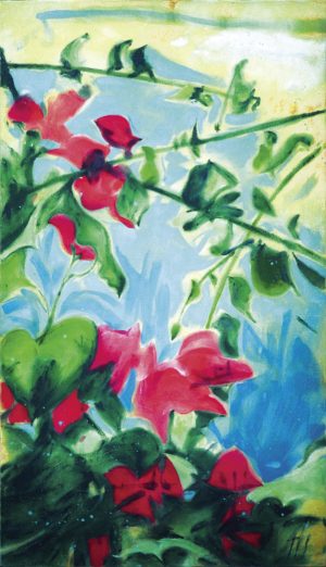 Das Bild Bougainvillea von Manus Hüller