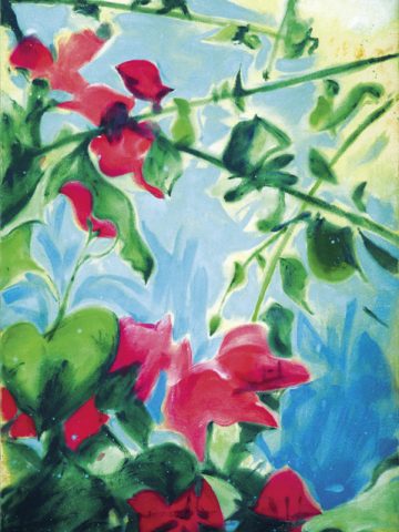Das Bild Bougainvillea von Manus Hüller