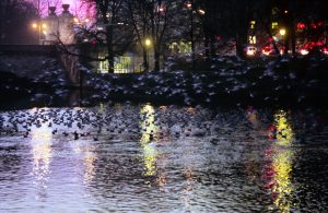 Ludwigsbruecke_100x65_300