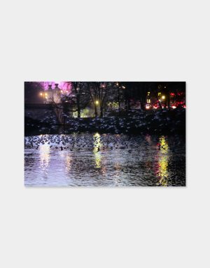 Ludwigsbruecke_100x65_300