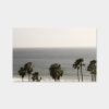 Schönes Bild "Palms" am Meer von LA in Venice