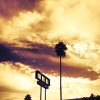 Sunset-Blvd-Jerome-Isma-ae-Bild-artig