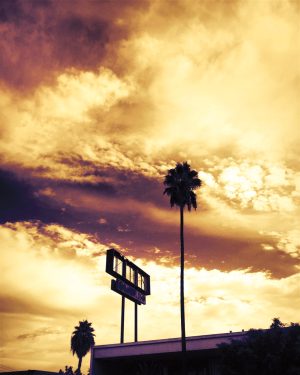 Sunset-Blvd-Jerome-Isma-ae-Bild-artig