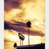 Sunset-Blvd-Jerome-Isma-ae-Bild-artig_2