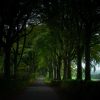 Das Bild Station Road von James Murray